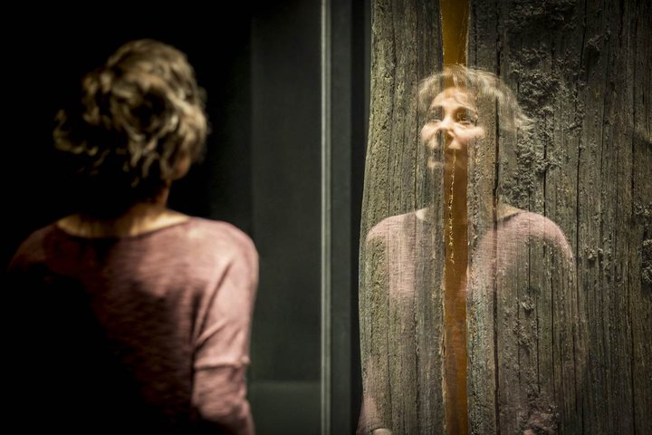 scene from Elegy at the Donmar Warehouse including real tree in glass box